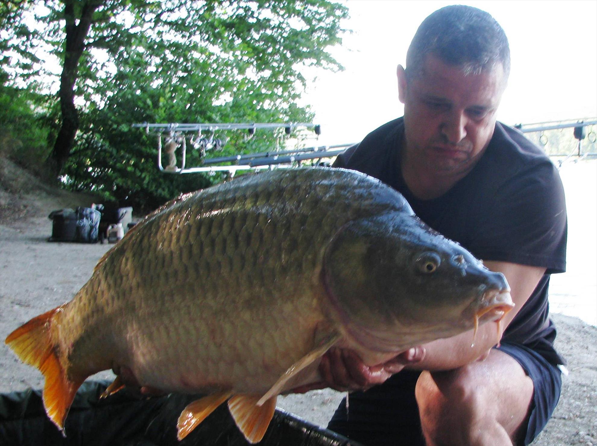 Harsany 22 - 27 iunie 2014 - img1379.JPG